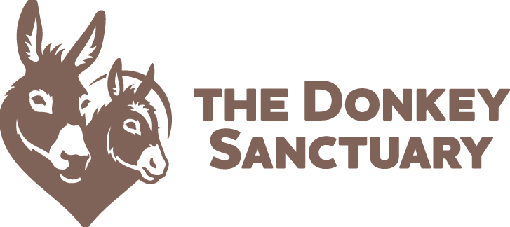 donkey-sanctuary