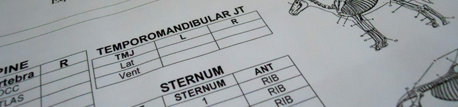 forms2
